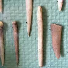 English: Bone Tools from the "Transdanubian" linear pottery culture period in Hungary, between 5400 BC and 4000 BC. Found near Budapest.