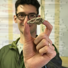 Daniel Field holding up a cast of his discovery, the fossilised bird skull called Wonderchicken.