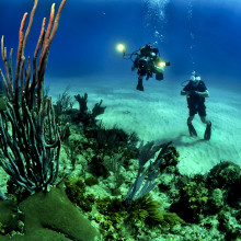Deep-sea divers
