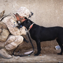 A soldier kissing a black dog on the head