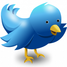 Twitter bird logo