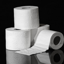 Rolls of toilet paper