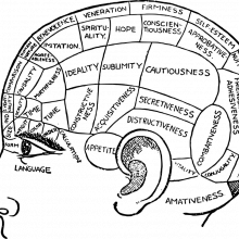 A diagram of a head with the various characteristics once used in phrenology