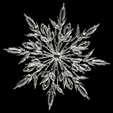 An image of a snowflake under a microscope
