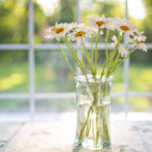 sun shining through a window with flowers in a vase