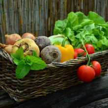 Basket of vegetables