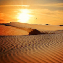 Sunset in a desert Desert sunset