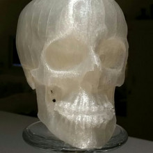 Skull 3d printed in polylactic acid (PLA)