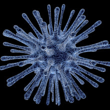 An artistic representation of a virus