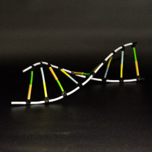 DNA