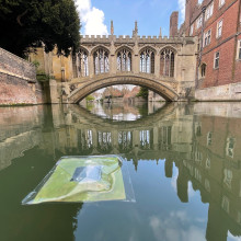 Floating Leaf