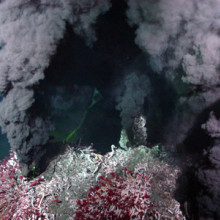 Deep sea hydrothermal vent