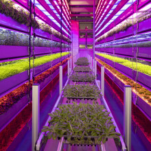 Vertical Future farm Vertical Future farm