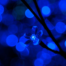 blue fairy lights