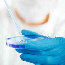 A masked scientist uses a pipette to draw up blue liquid from a petri dish.