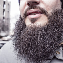 Close-up of a large beard