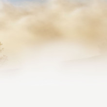 Fog