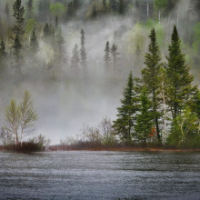 A river in the fog