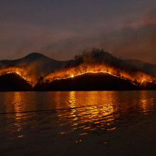 Wildfire
