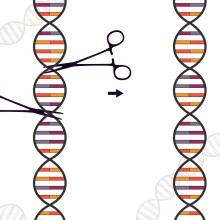 CRISPR Tech CRISPR Tech