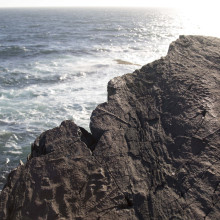 An Ediacaran fossil
