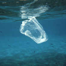 Plastic in the ocean