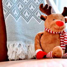 Christmas Reindeer