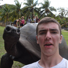 an Aldabra giant tortoise