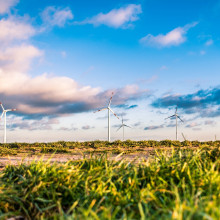 Wind farm surrounded by grass