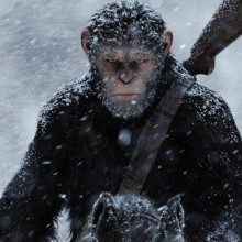 Image from War for the Planet of the Apes