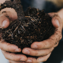 Hands holding soil