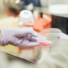 Scientist holding dish of cells in lab