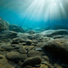 Light shines on sea floor