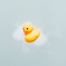 A rubber duck