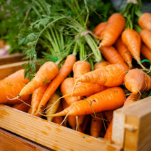 Carrots in a wooden crate