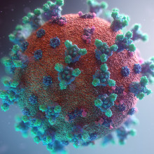 An artist impression of a coronavirus particle