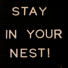 Sign saying STAY IN YOUR NEST