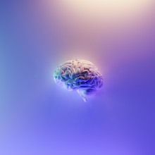 Model of brain with purple hue