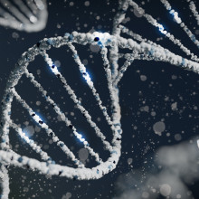 A computerised representation of a strand of DNA