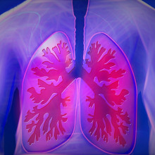 CGI Lungs