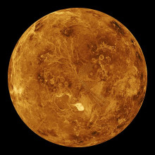 Venus Venus