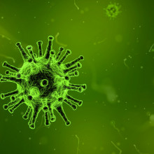 Flu virus