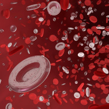 Artist's rendition of red blood cells