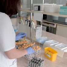 a scientist at a lab bench with samples