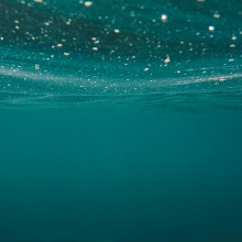 An underwater view of the ocean surface.