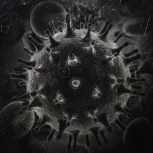 A greyscale computer image of a HIV virus particle