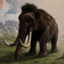 Artist's impression of a woolly mammoth.