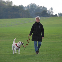 A woman walking a dog on a field