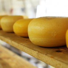wheels of cheese on a shelf