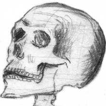 Pencil-drawn skull